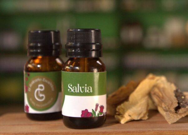 Salvia