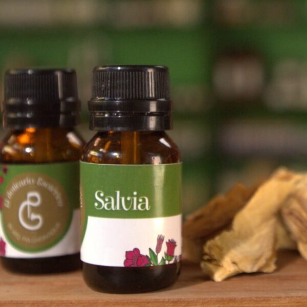 Salvia
