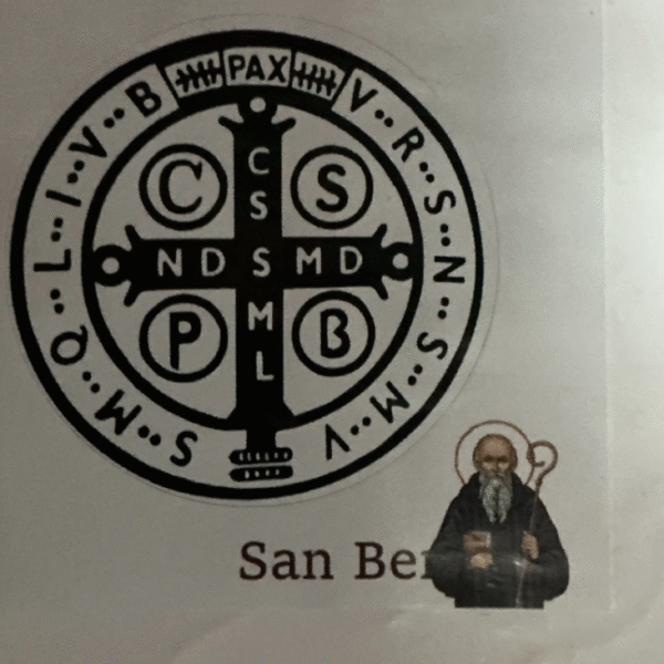 Vinilo San Benito 10x10